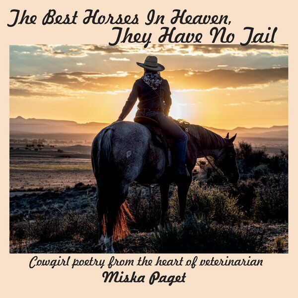 Cover art for The Best Horses in Heaven, They Have No Tail